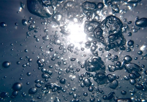 Solicitud de precios